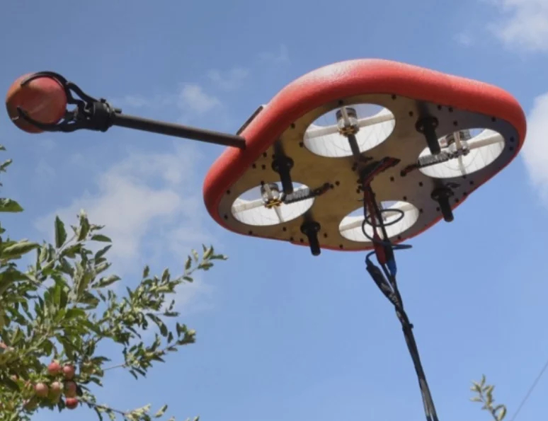 tomates y tecnologia