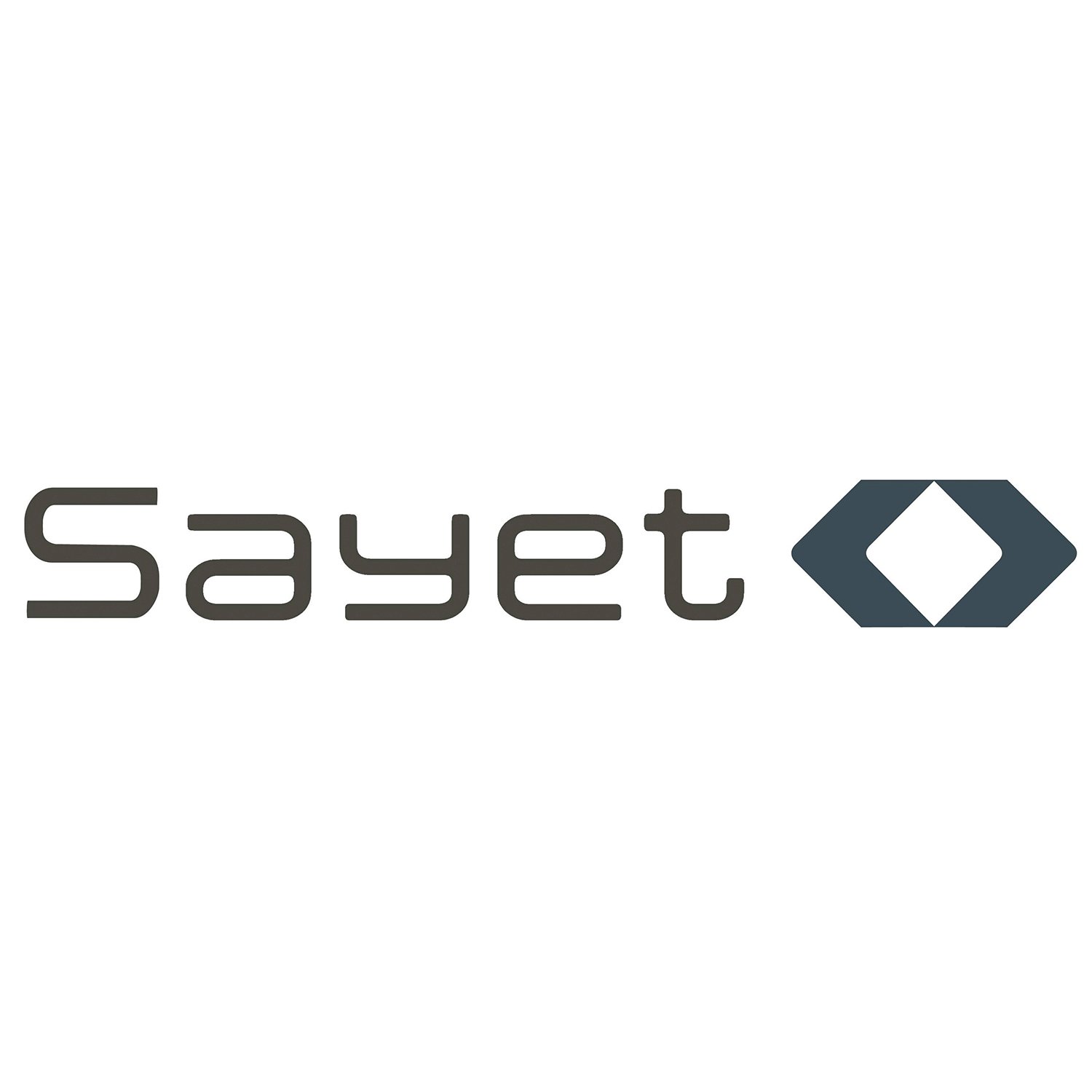 logo-sayet-isracam