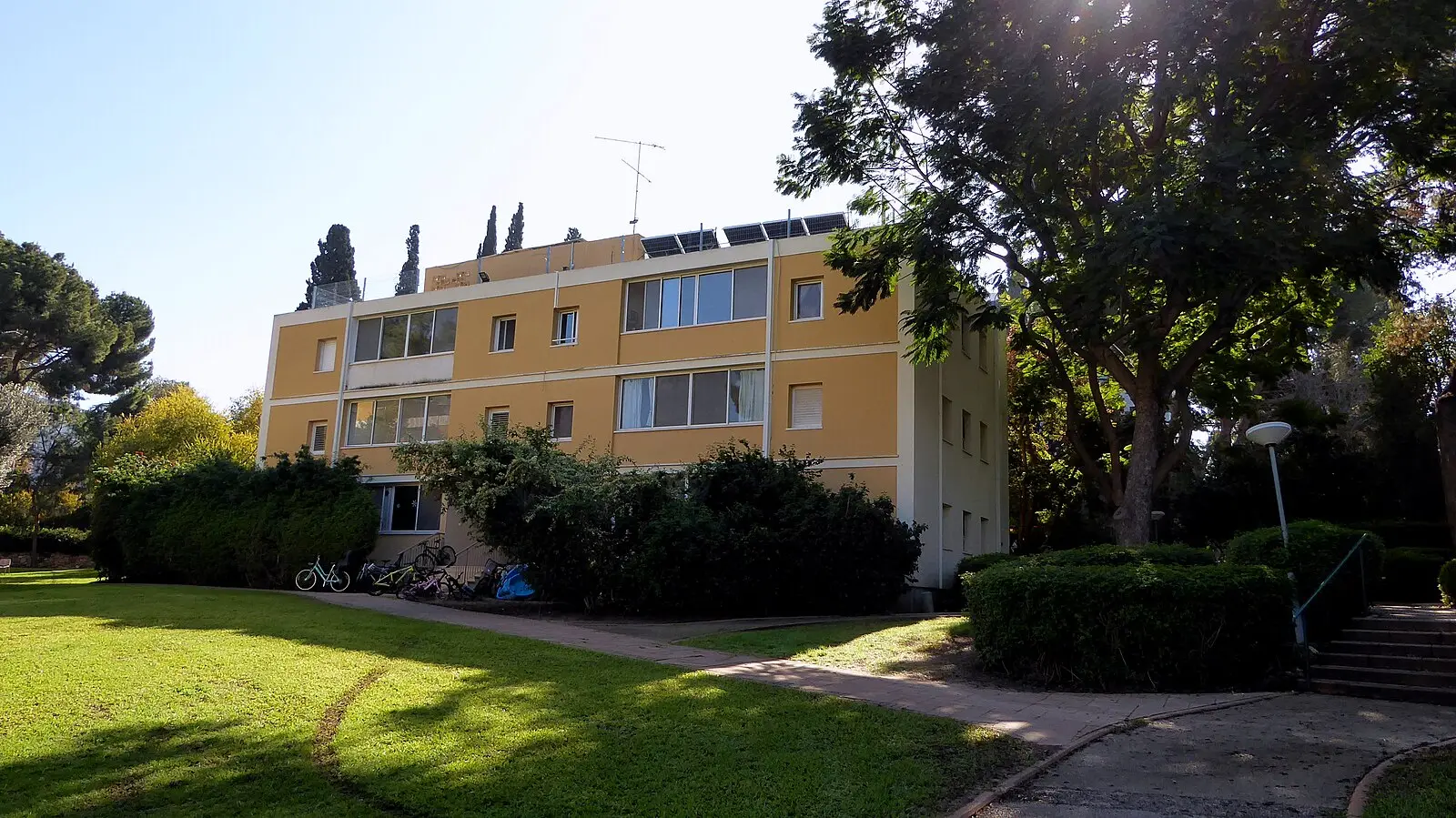 Científicos israelíes crean nueva molécula que activa al sistema inmune contra el cáncer